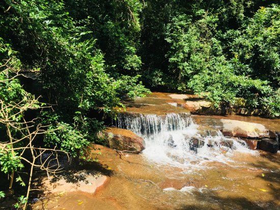 Krantzkloof Nature Reserve